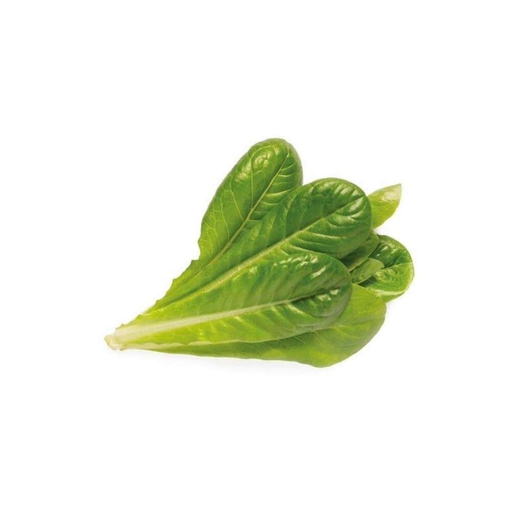 Click &amp; Grow Smart Garden Refill 3-pack - Romaine Lettuce