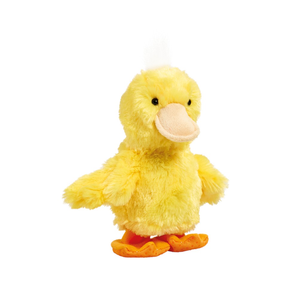 Happy Pets Rap Rap And