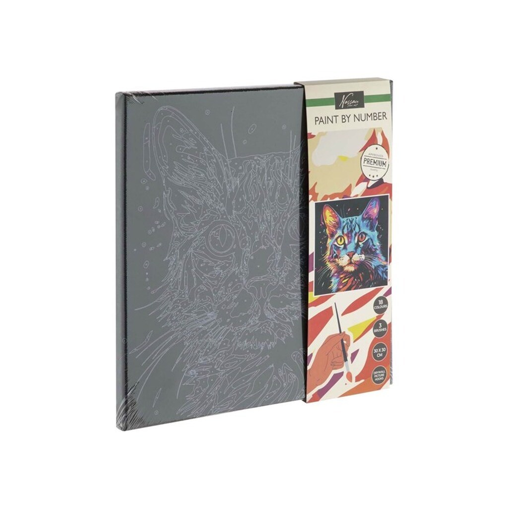 Creative Craft Group - Paint by Number Black Canvas Cat 30x30cm