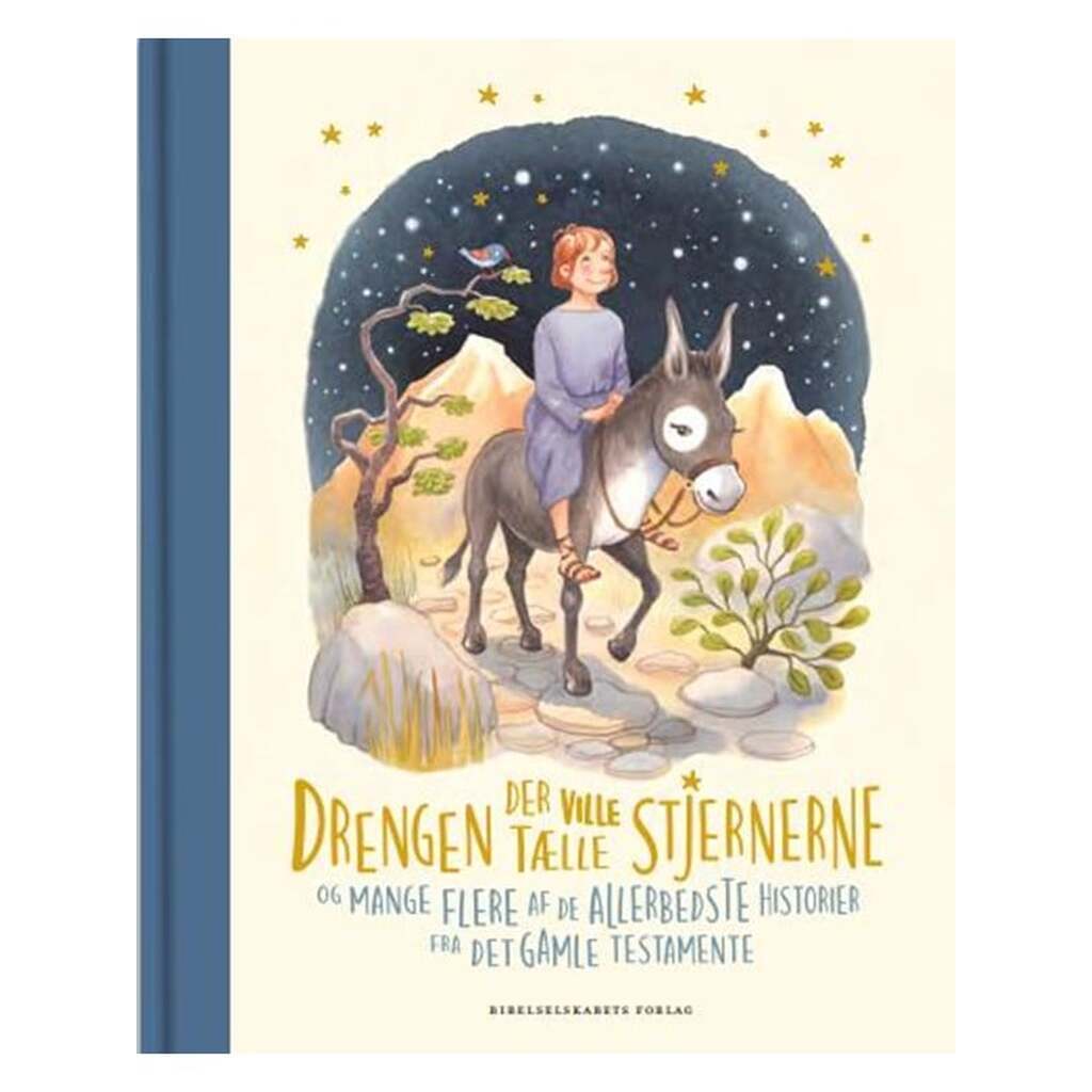 Drengen der ville tælle stjernerne - Børnebog - Hardcover