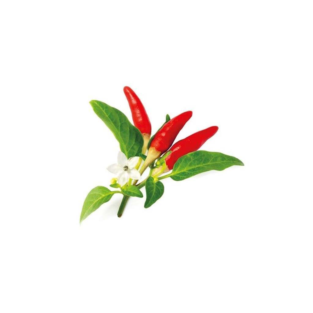 Click &amp; Grow Click and Grow Smart Garden Refill 3-pack - Red Hot Chili Pepper