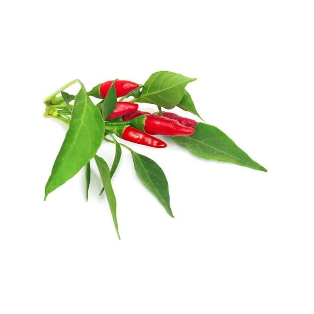 Click &amp; Grow - Smart Garden Refill 3-pack Piri Piri