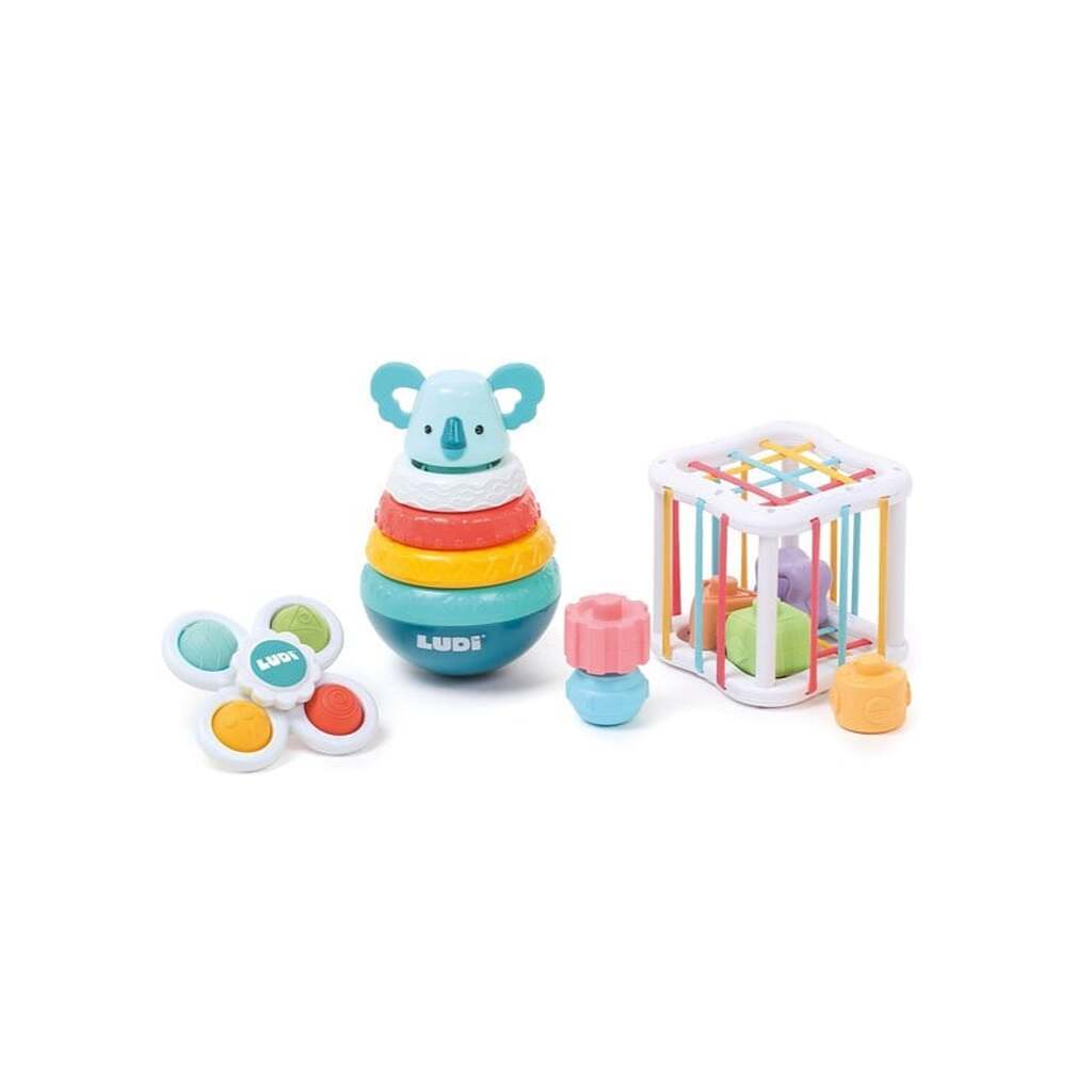 LUDI Box with Motor Skill Toys