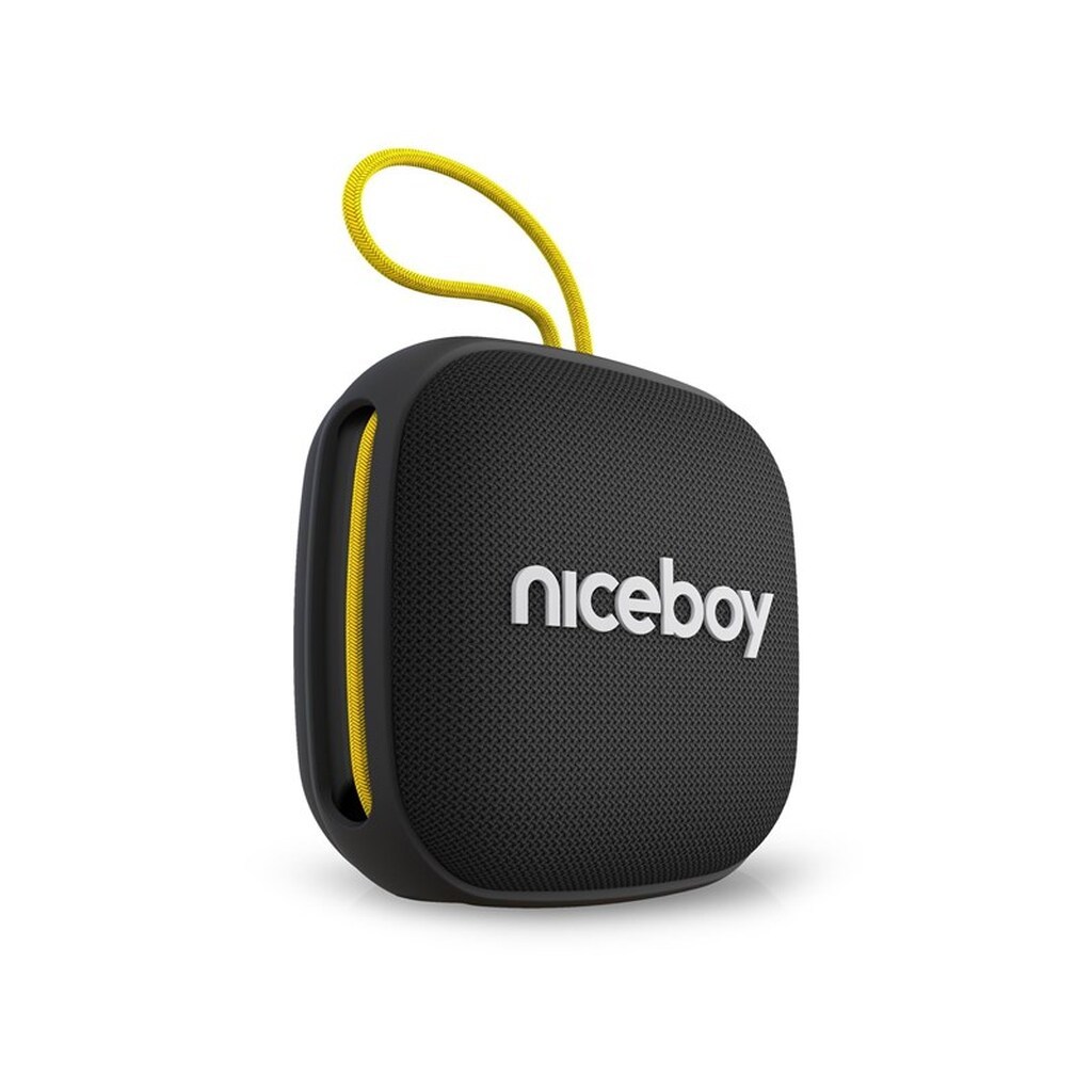 Niceboy RAZE Mini 4