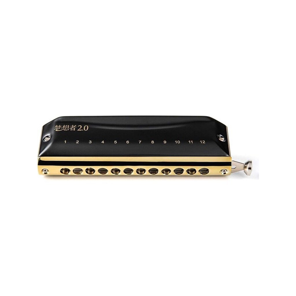 Easttop Dream 2.0 chromatic harmonica