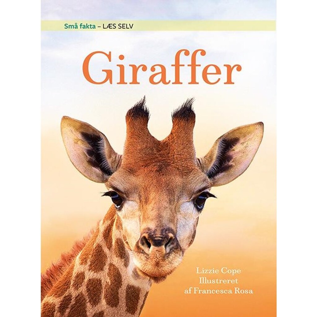 Små fakta: Giraffer - Børnebog - Hardcover