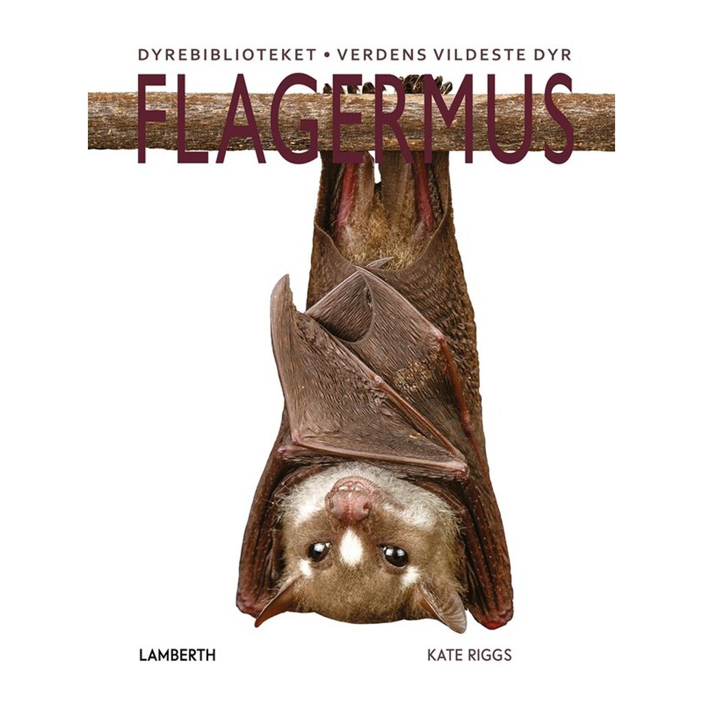 Flagermus - Børnebog - Hardcover