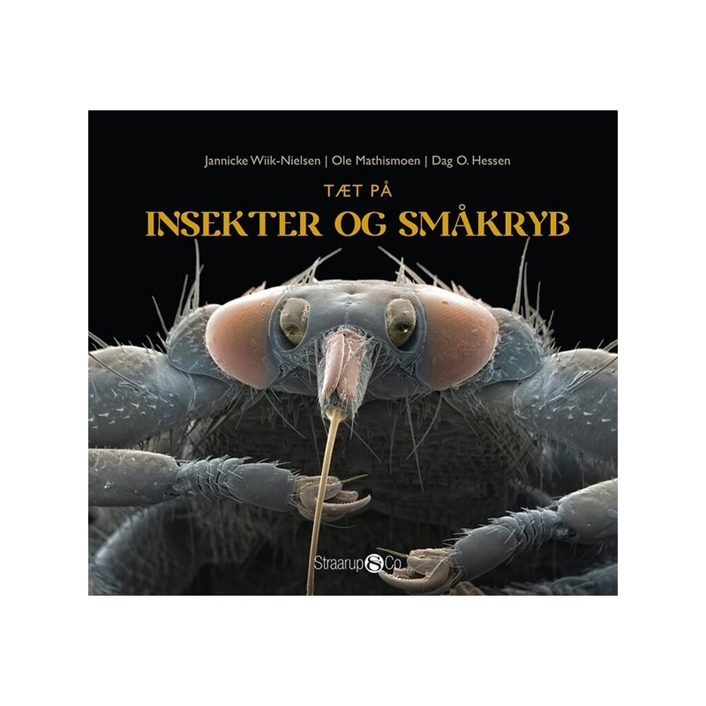 Tæt på insekter og småkryb - Børnebog - Hardback
