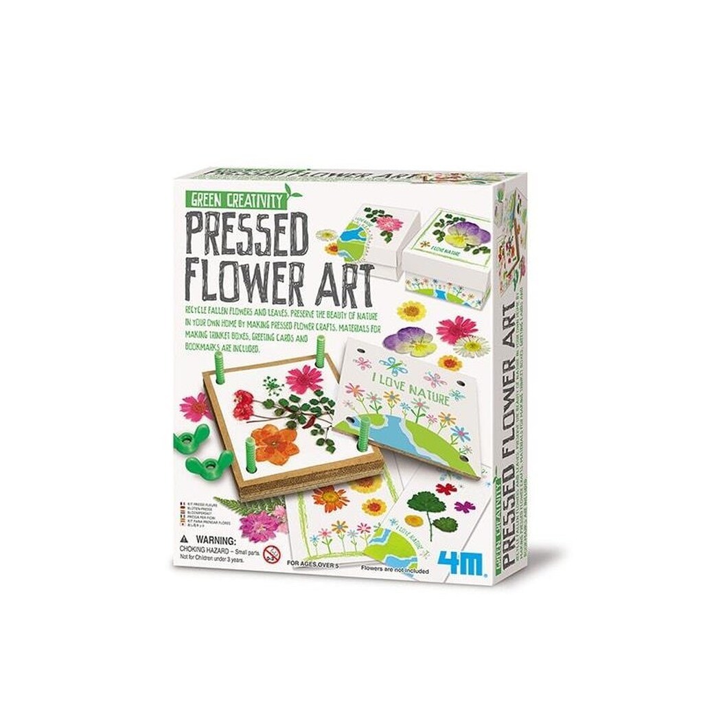 4M Green Creativity/Pressed flower art