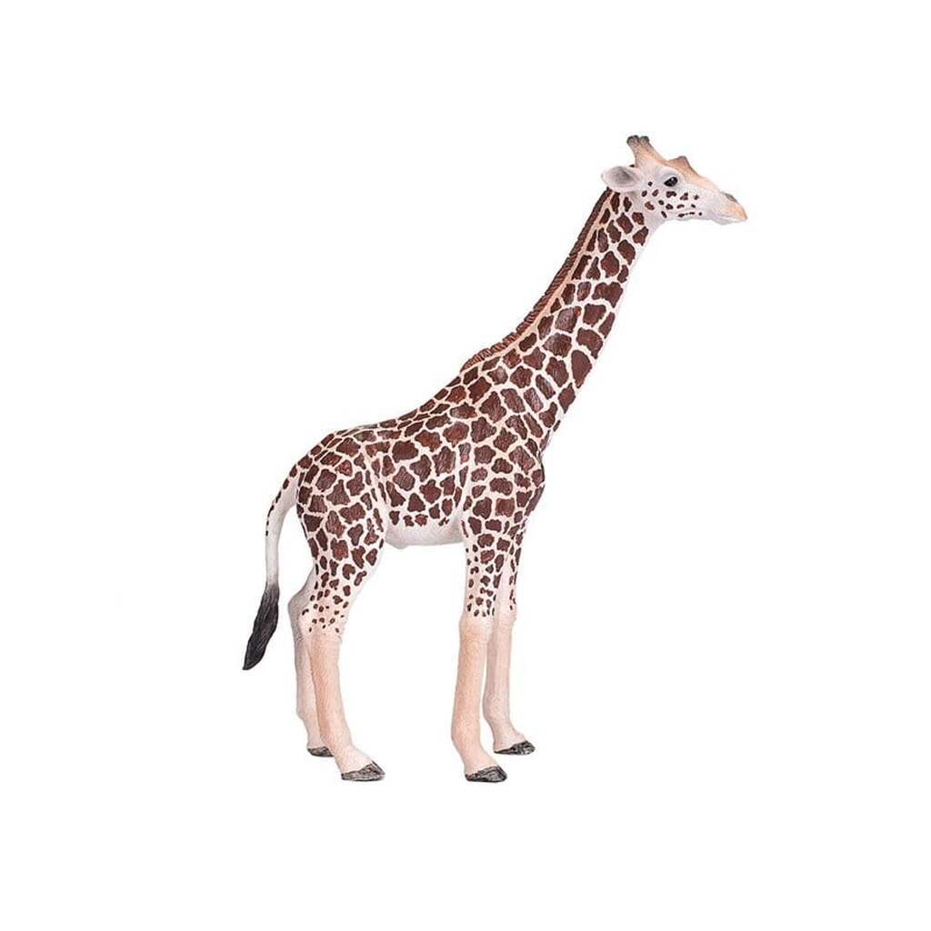Mojo Wildlife Giraffe Male