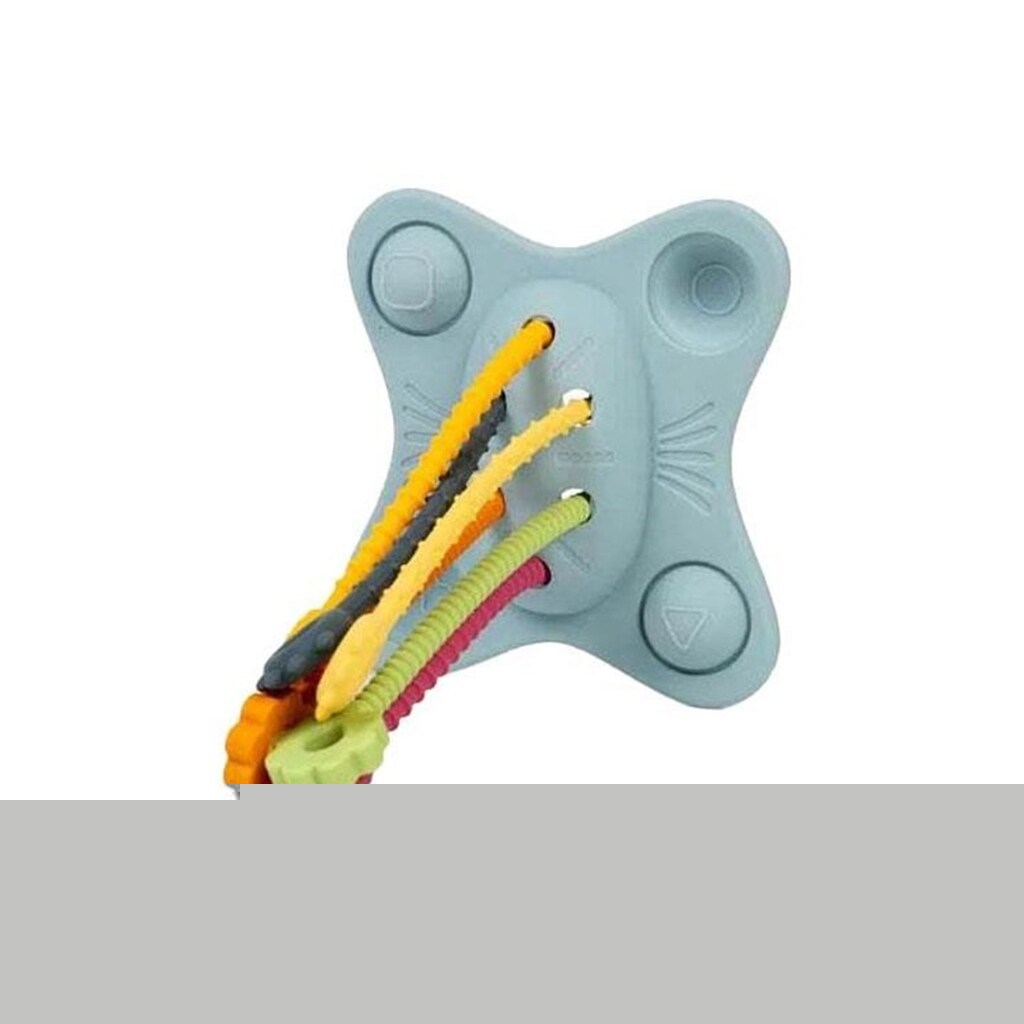 Bigjigs Pull and Push Montessori Toys