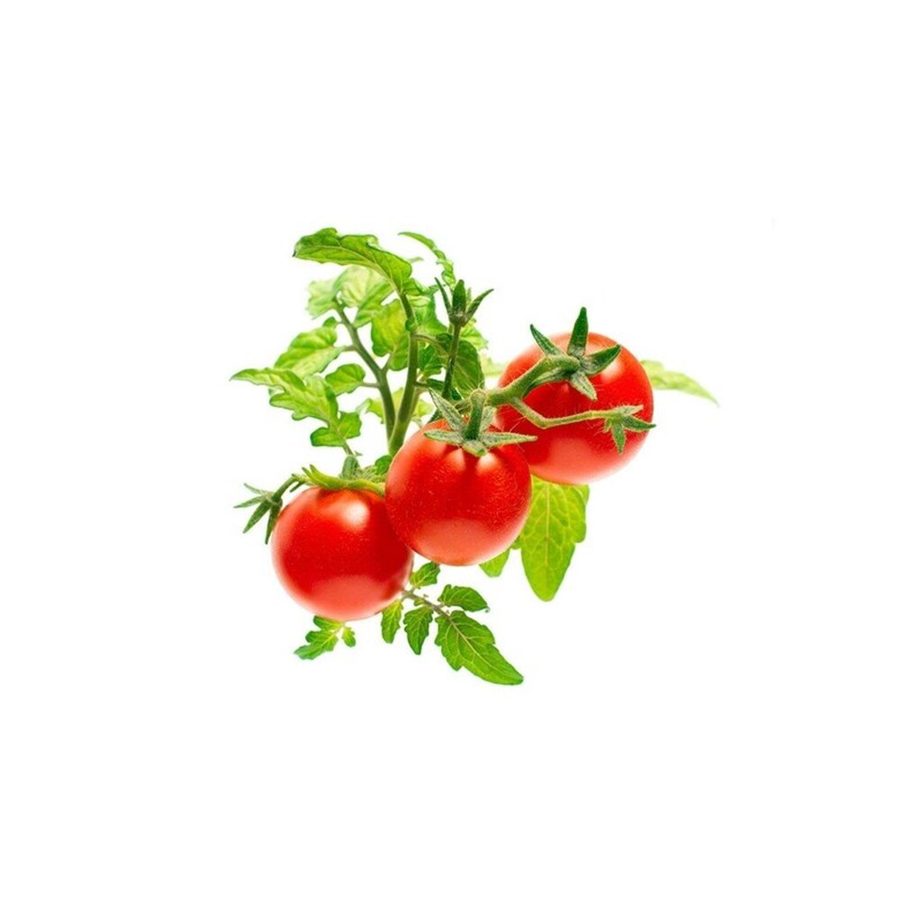 Click &amp; Grow Click and Grow - Smart Garden Refill 3-pack - Mini Tomato (SGR5X3)