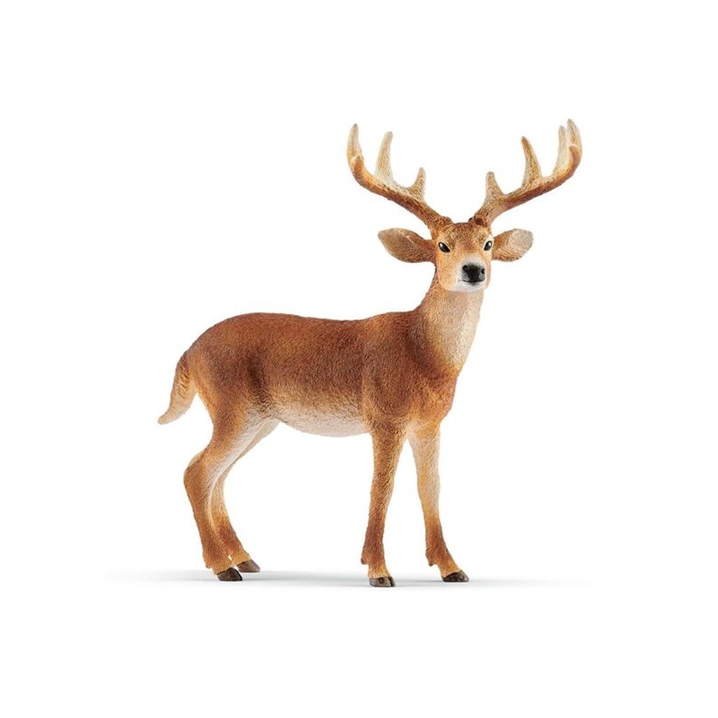 Schleich Wild Life Hvidhalet Buk