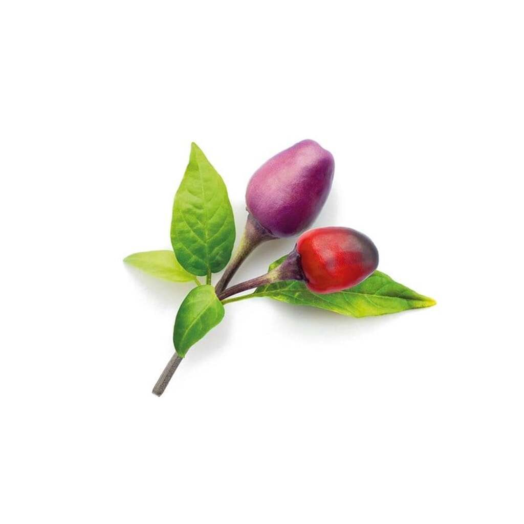 Click &amp; Grow Smart Garden Refill 3-pack - Purple Chili Pepper