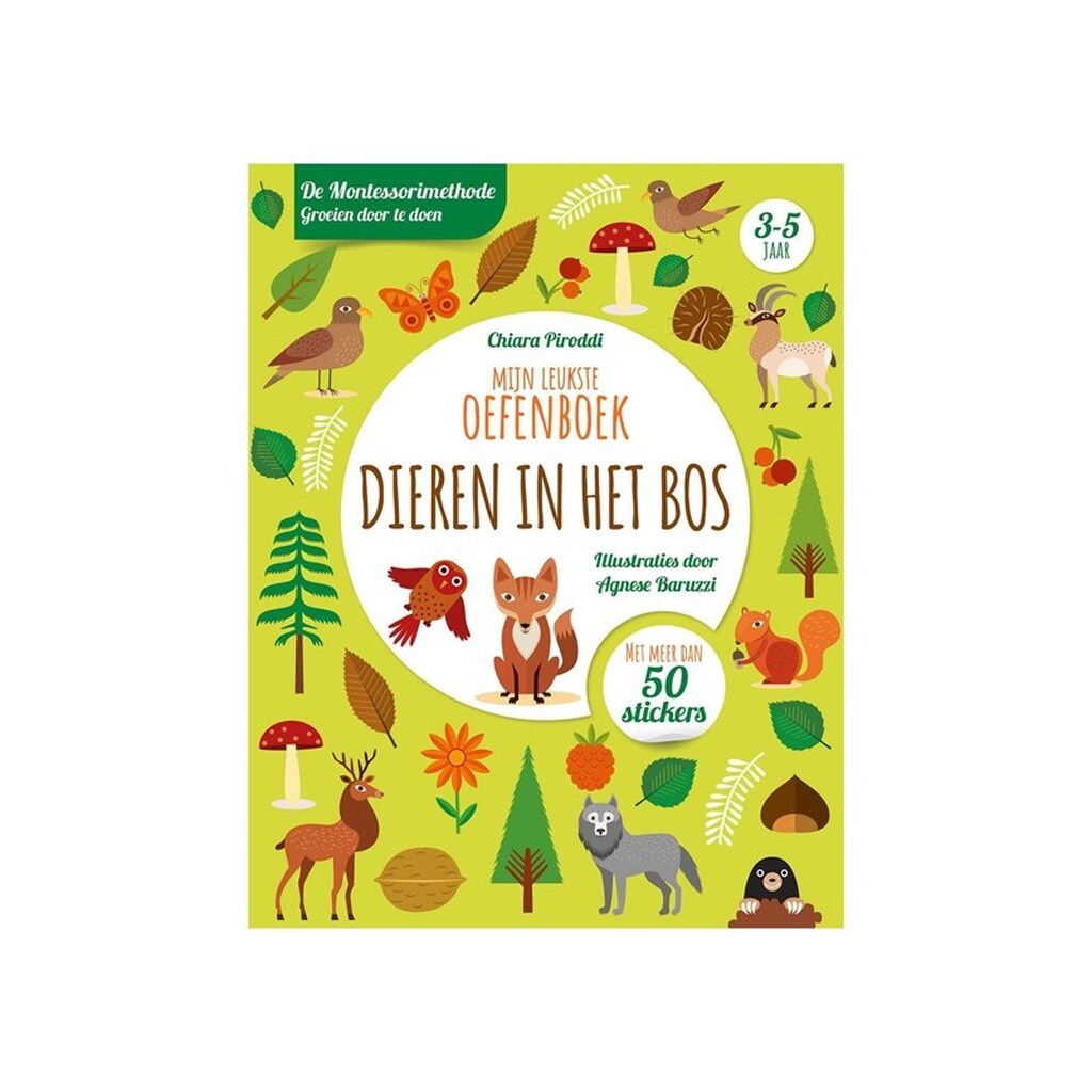 Rebo Publishers Animals in the Forest - Exercise Book