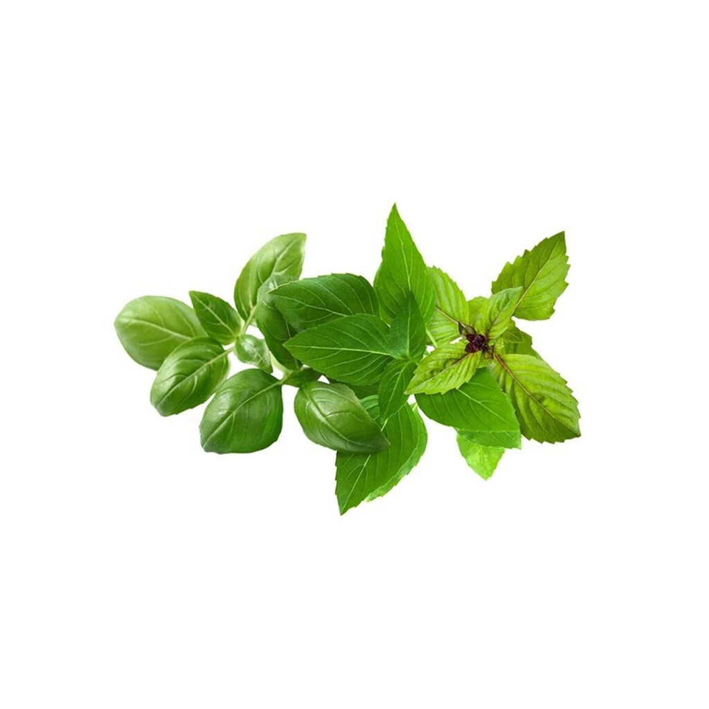 Click &amp; Grow Click and Grow - Smart Garden Refill 9-pack Basil Variety Mix