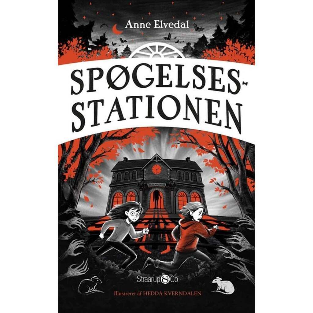 Spøgelsesstationen - Ungdomsbog - hardback