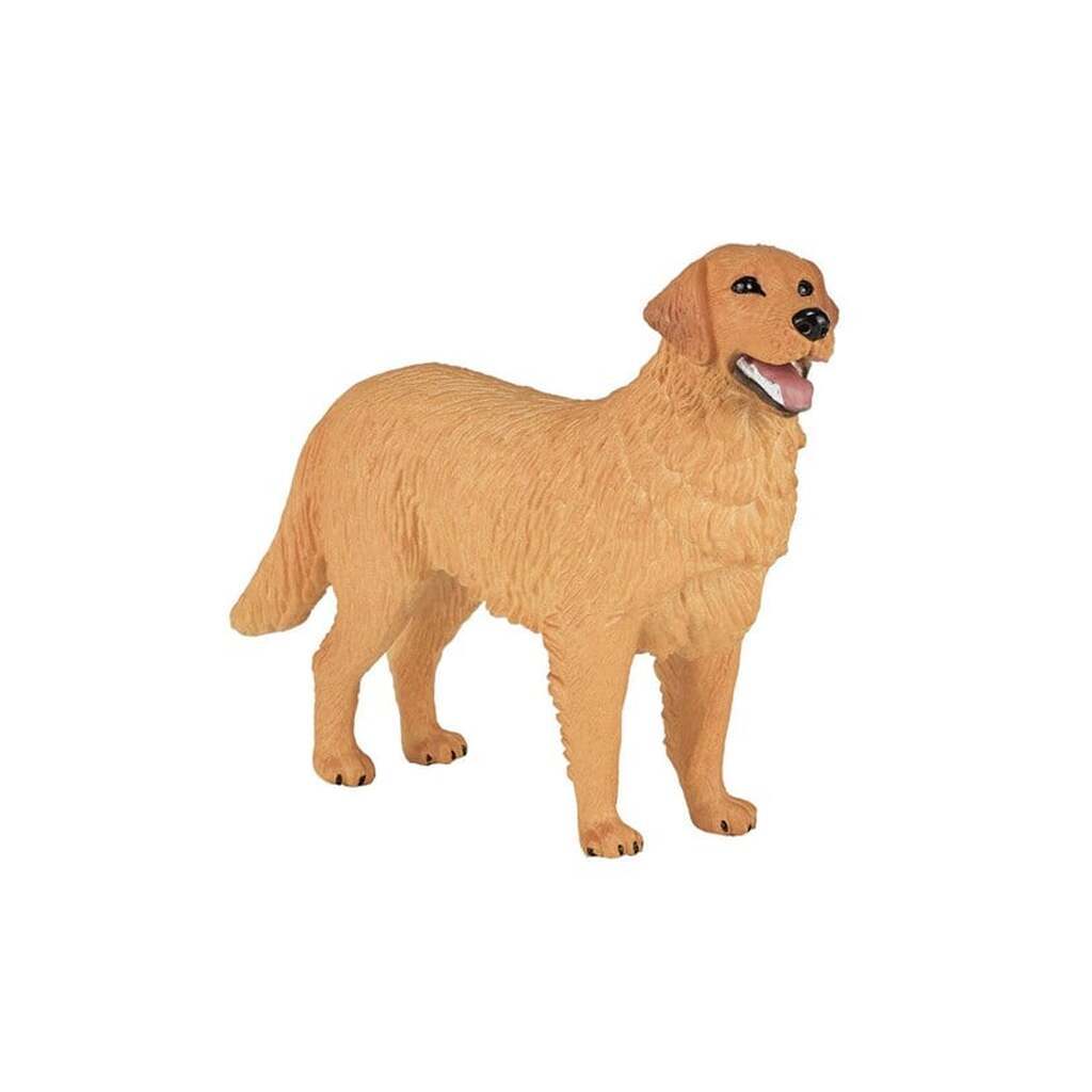 Mojo Farmland Golden Retriever - 387198