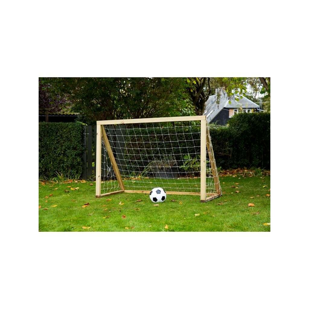 Home Goal Classic Mini