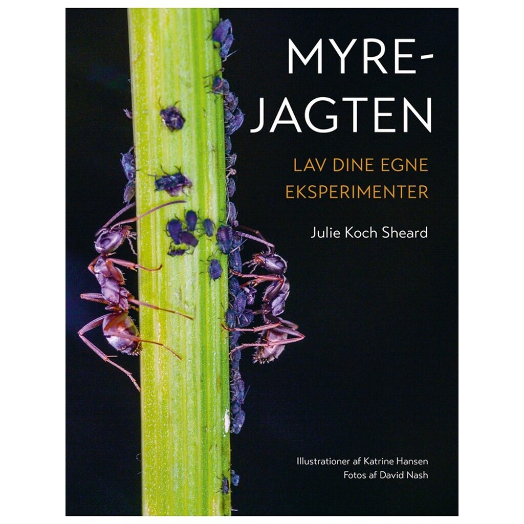 Myrejagten - Børnebog - Hæfte