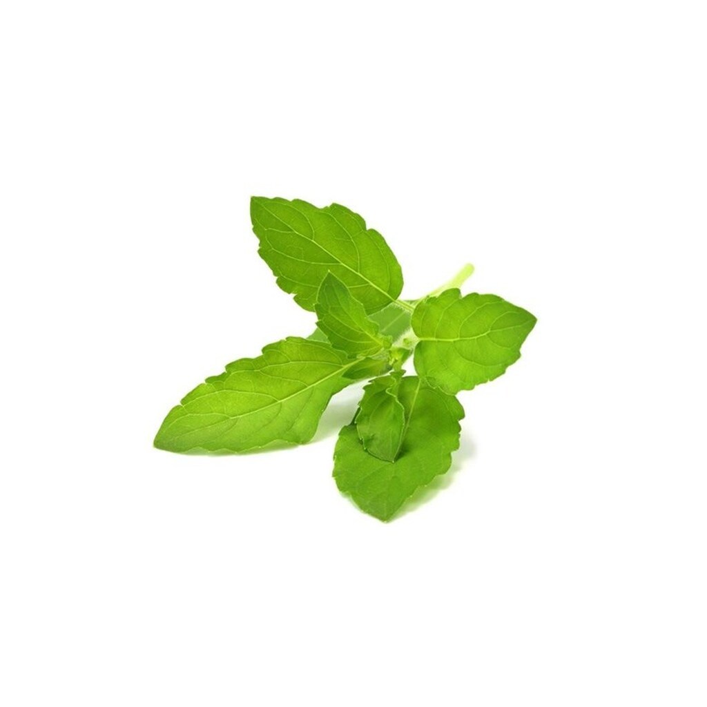 Click &amp; Grow Click and Grow Smart Garden Refill 3-pack - Holy Basil