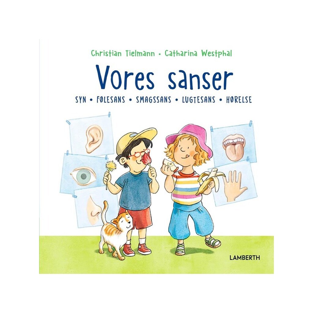 Vores sanser - Børnebog - hardcover