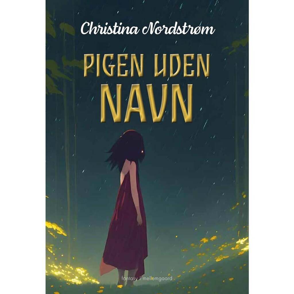 Pigen uden navn - Ungdomsbog - Hæftet