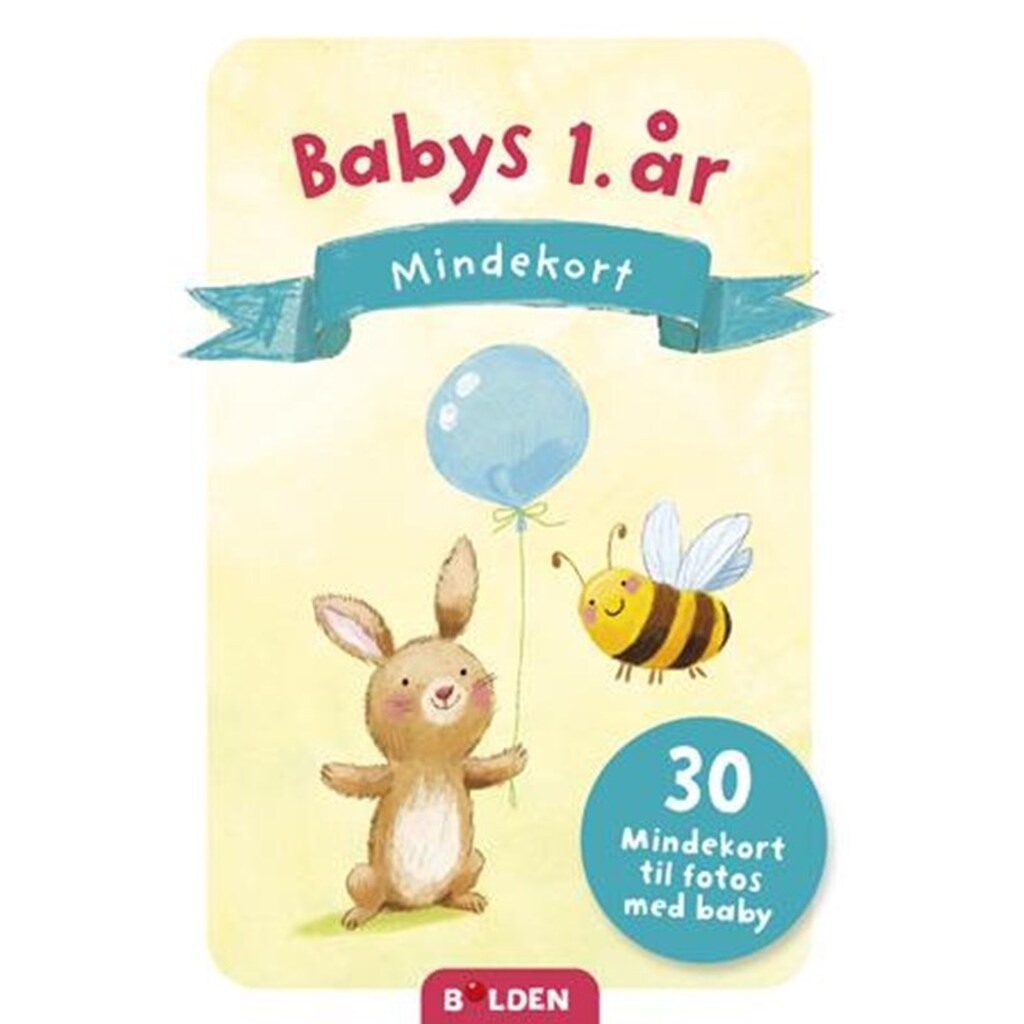Babys første år - mindekort - Børnebog - Board books