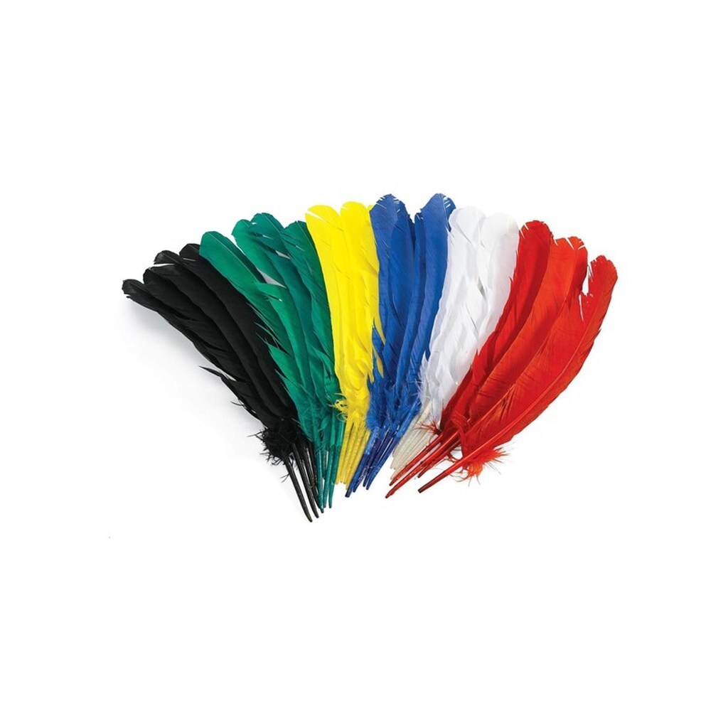 Colorations - Feathers 30cm Set of 24