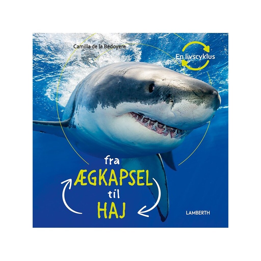 Fra ægkapsel til haj - Børnebog - Hardcover