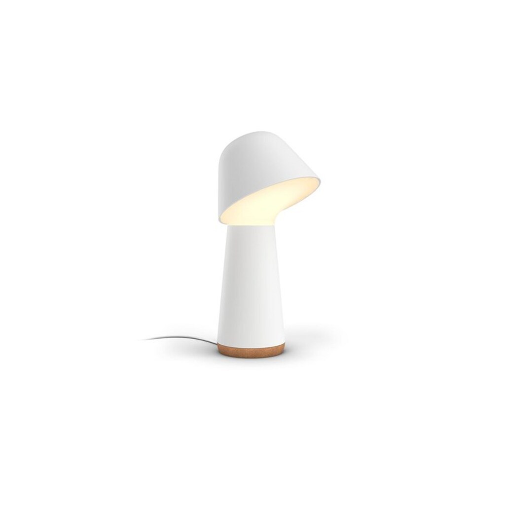 Philips Hue Twilight - White