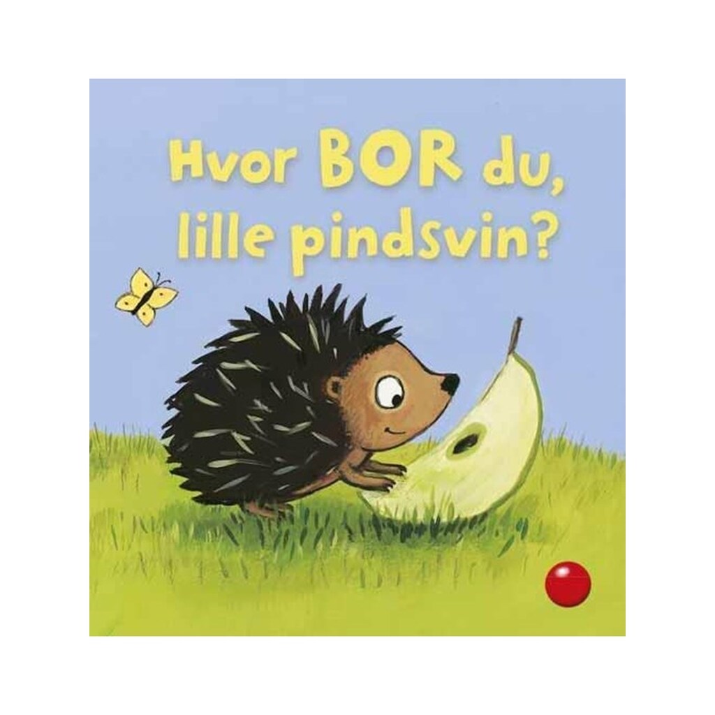 Hvor bor du lille pindsvin? - Børnebog - Board books