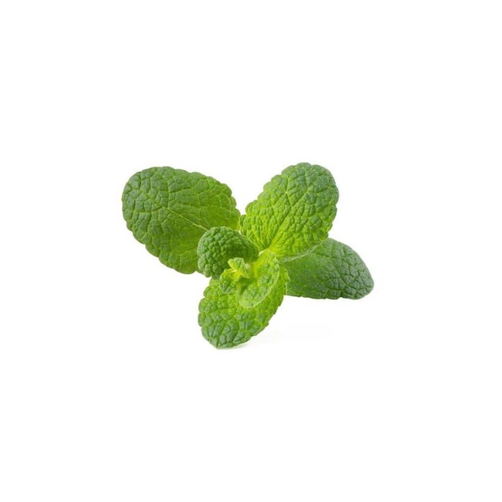 Click &amp; Grow Click and Grow Smart Garden Refill 3-pack - Apple Mint