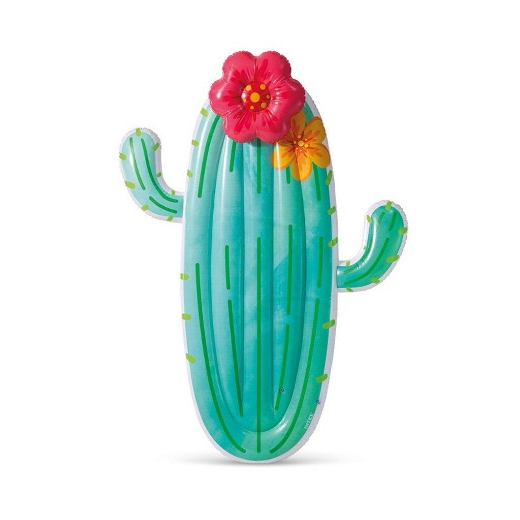 Intex Cactus Float