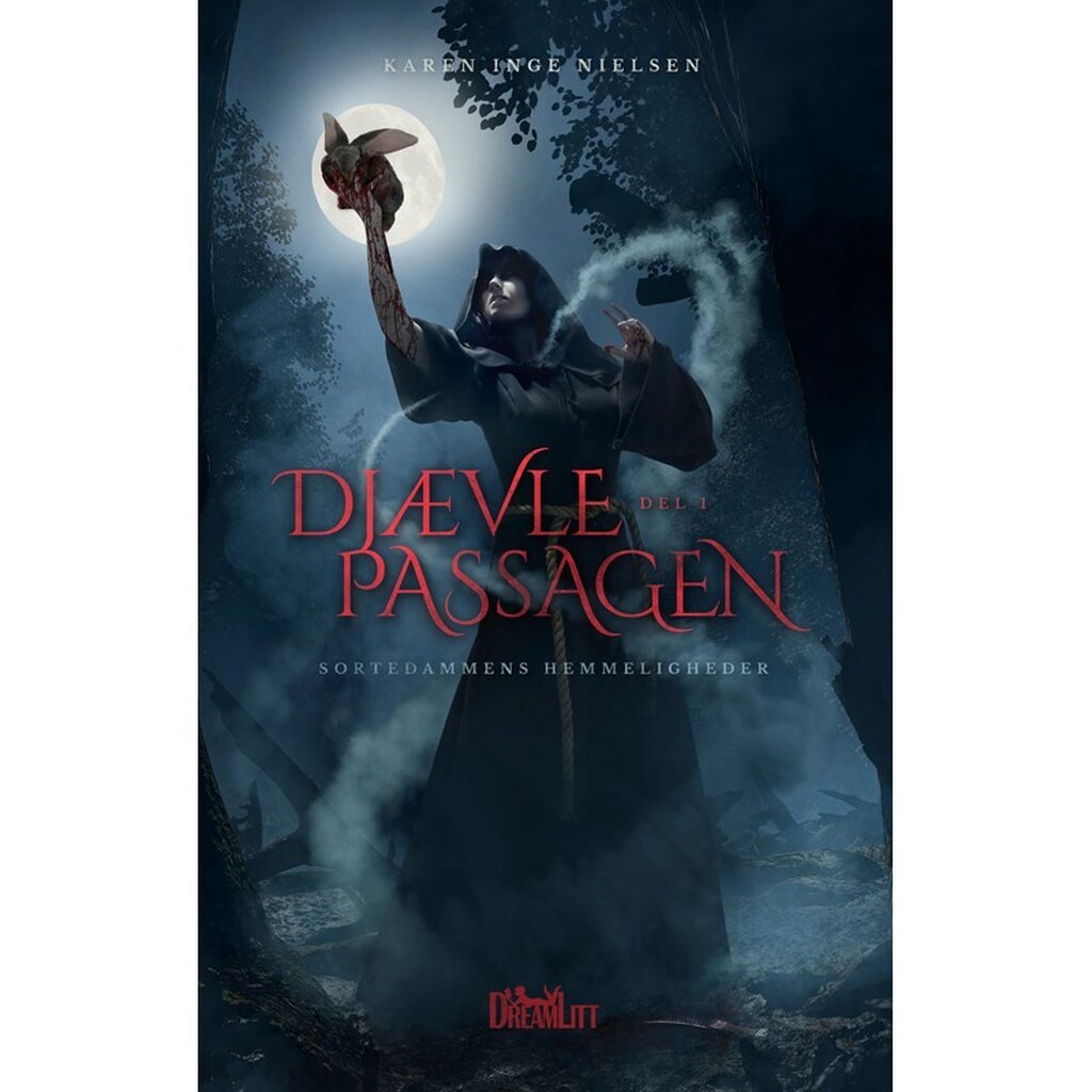 Sortedammens Hemmeligheder - Djævlepassagen 1 - Ungdomsbog - hardback