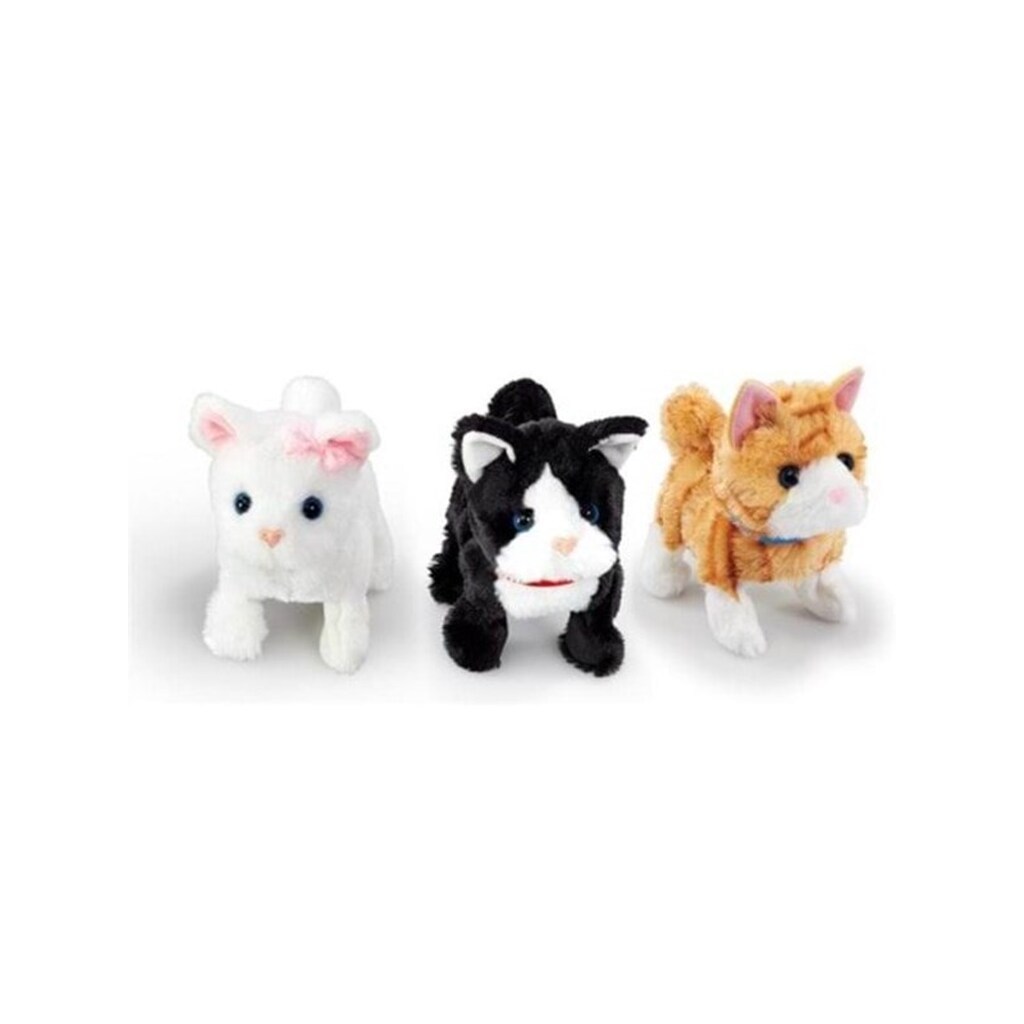 Happy Pets Pretty Little Kitty 3 (Assorted)