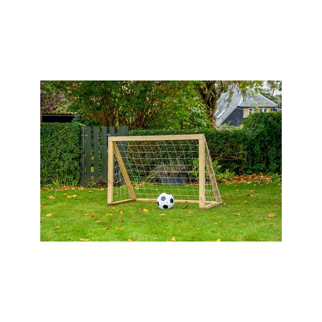 Home Goal Classic Micro