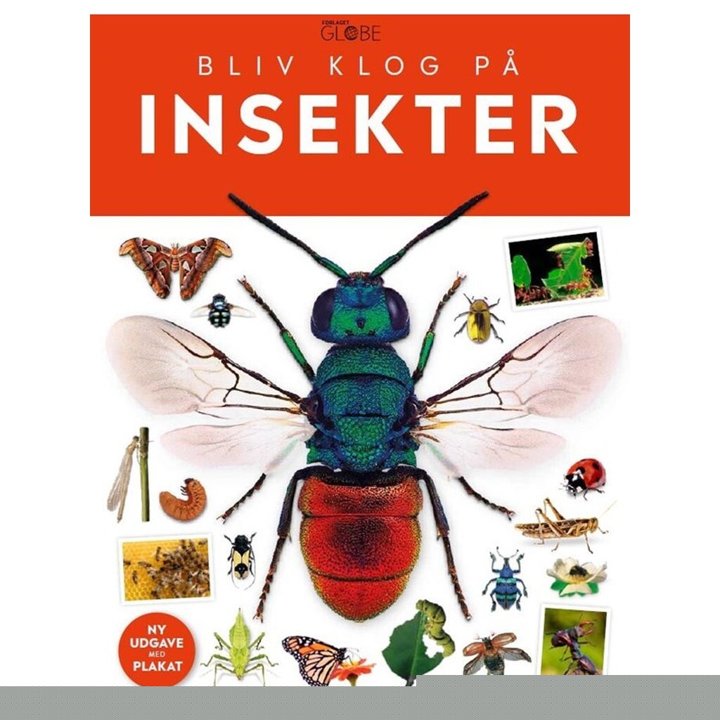 Insekter - Børnebog - Hardcover
