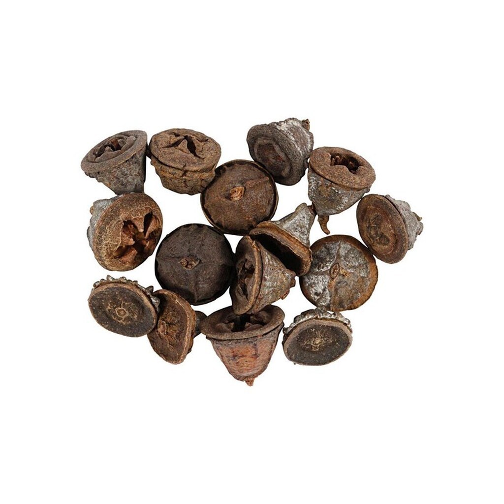 Creativ Company - Larch cones 25 grams