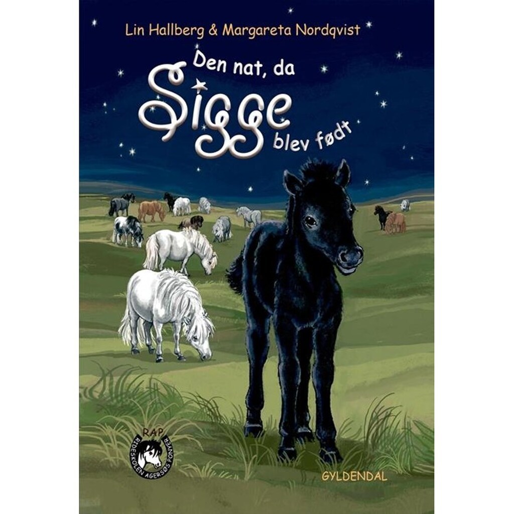 Sam og Sigge 2 - Den nat da Sigge blev født - Børnebog - Hardcover