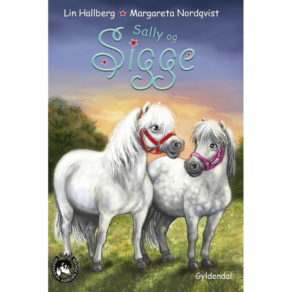 RAP-klubben 15 - Sally og Sigge - Børnebog - Hardcover