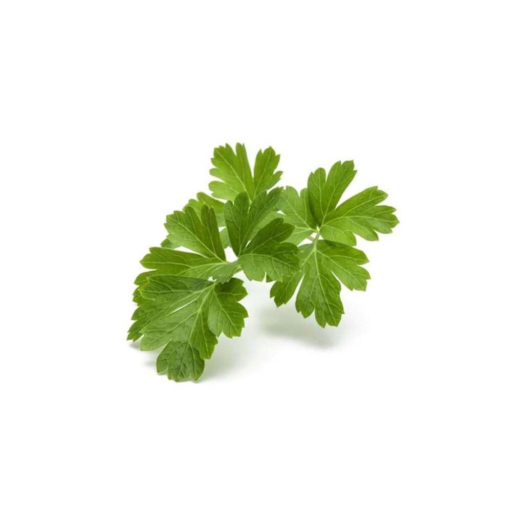 Click &amp; Grow Click and Grow Smart Garden Refill 3-pack - Plain Parsley