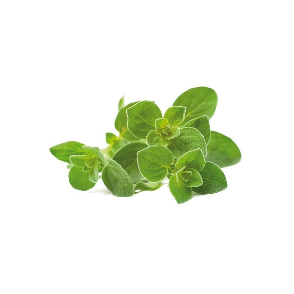 Click &amp; Grow Click and Grow - Smart Garden Refill 3-pack Oregano