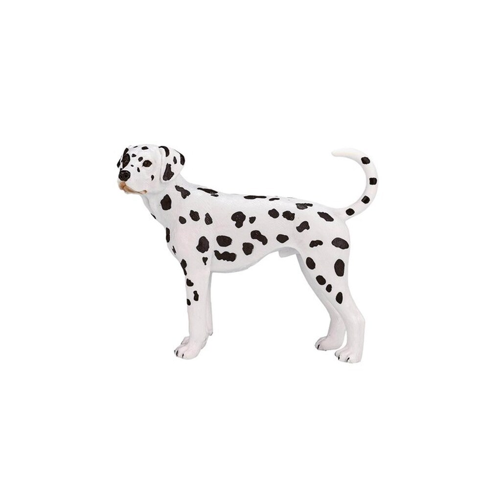 Mojo Farmland Dalmatian