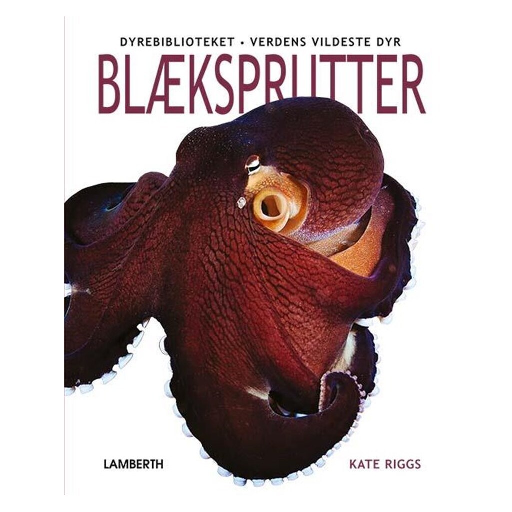 Blæksprutter - Børnebog - hardcover