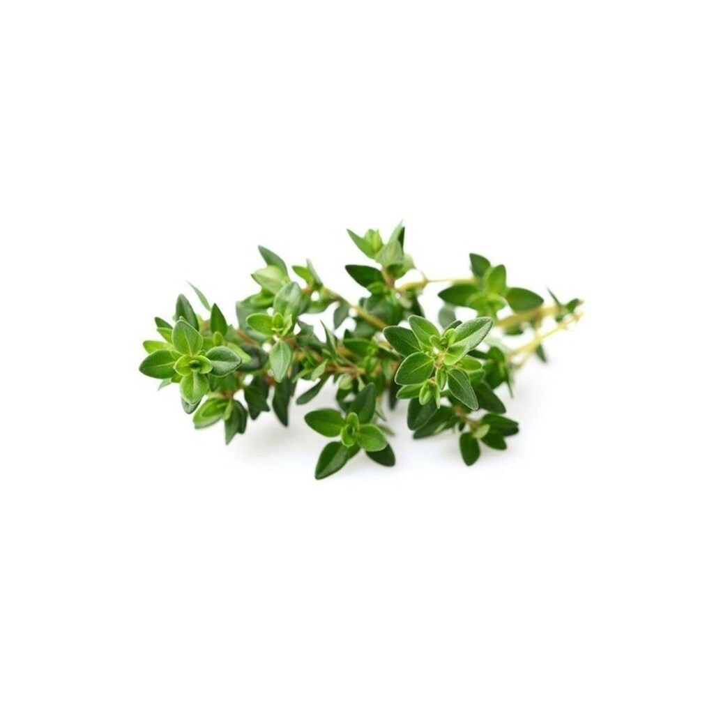 Click &amp; Grow Smart Garden Refill 3-pack - Thyme