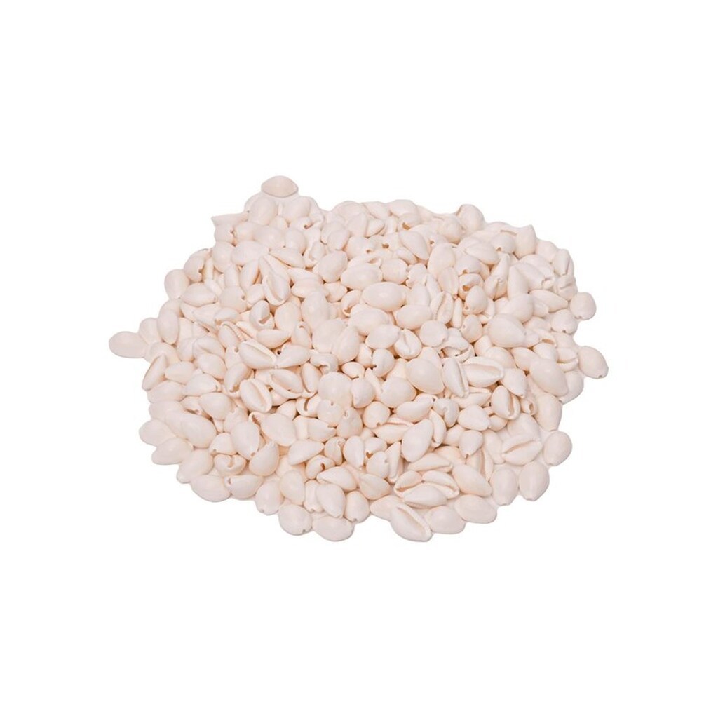 Colorations - Seashells Kauri 300g