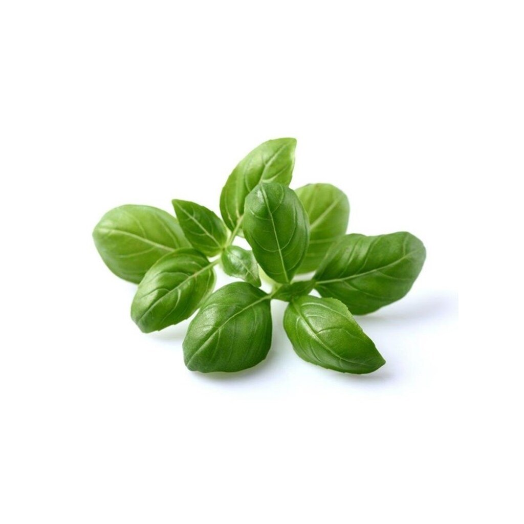 Click &amp; Grow Click and Grow - Smart Garden Refill 3-pack - Basil (SGR3X3)