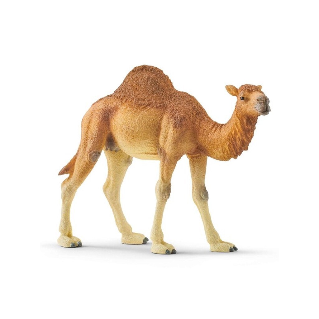 Schleich Dromedar