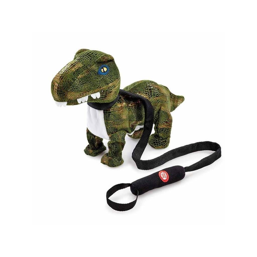 Happy Pets Dance with Me Dinosaur